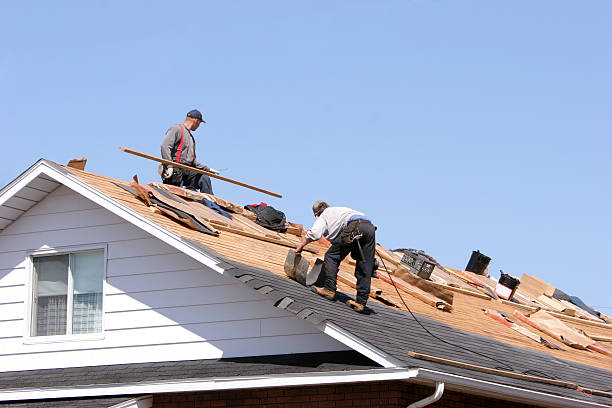 Best Roof Moss and Algae Removal  in Wadsworth, IL