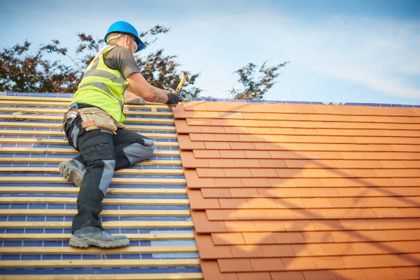 Best Wood Shake Roofing  in Wadsworth, IL